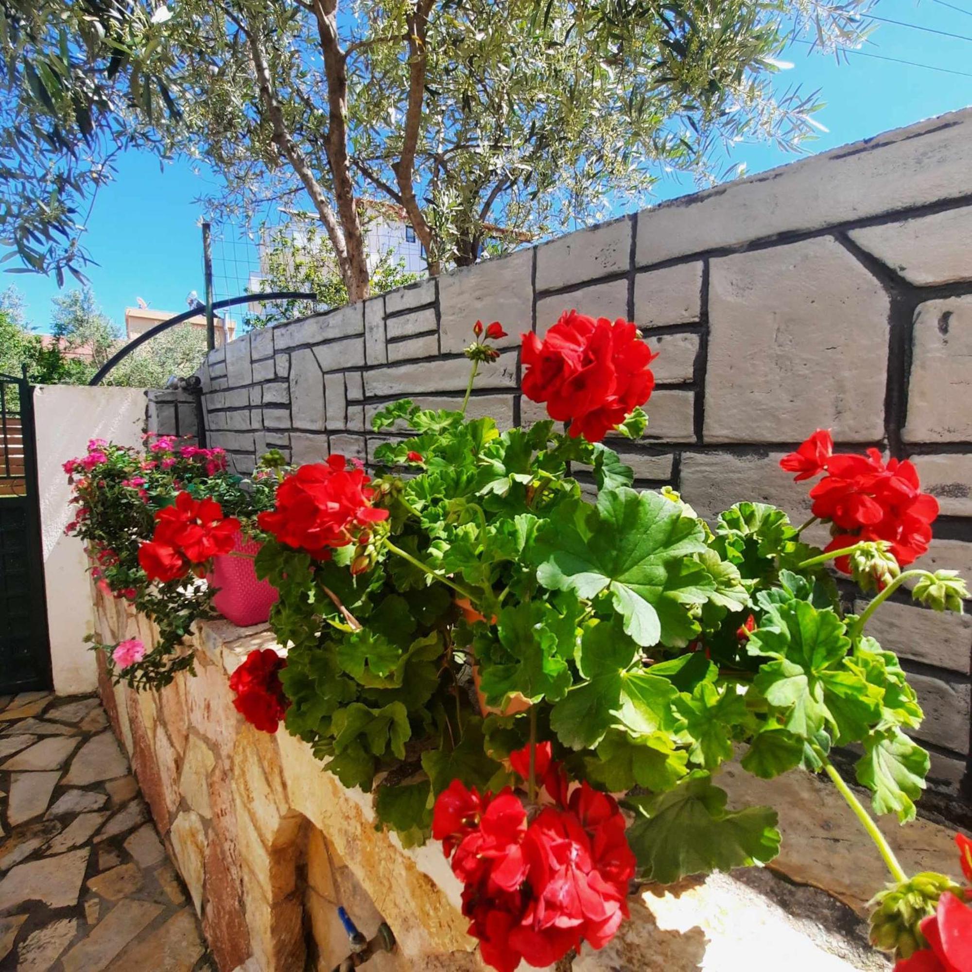 Vila Bexheti Ksamil Dış mekan fotoğraf